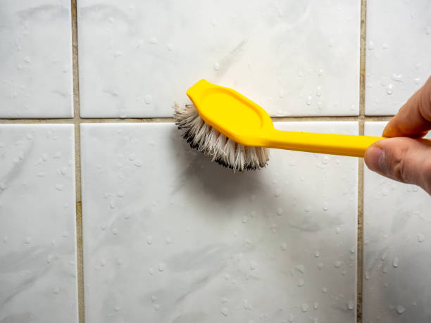 Best Emergency Mold Removal  in Kenilworth, NJ