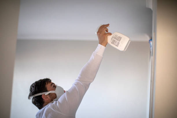 Best Fast Mold Removal  in Kenilworth, NJ